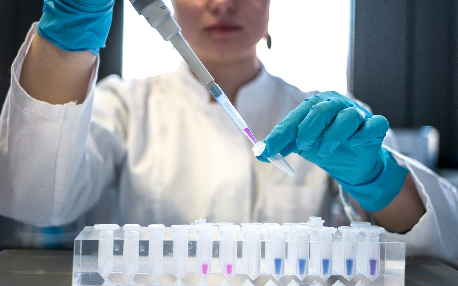 Scientist pipetting samples in a testing laboratory