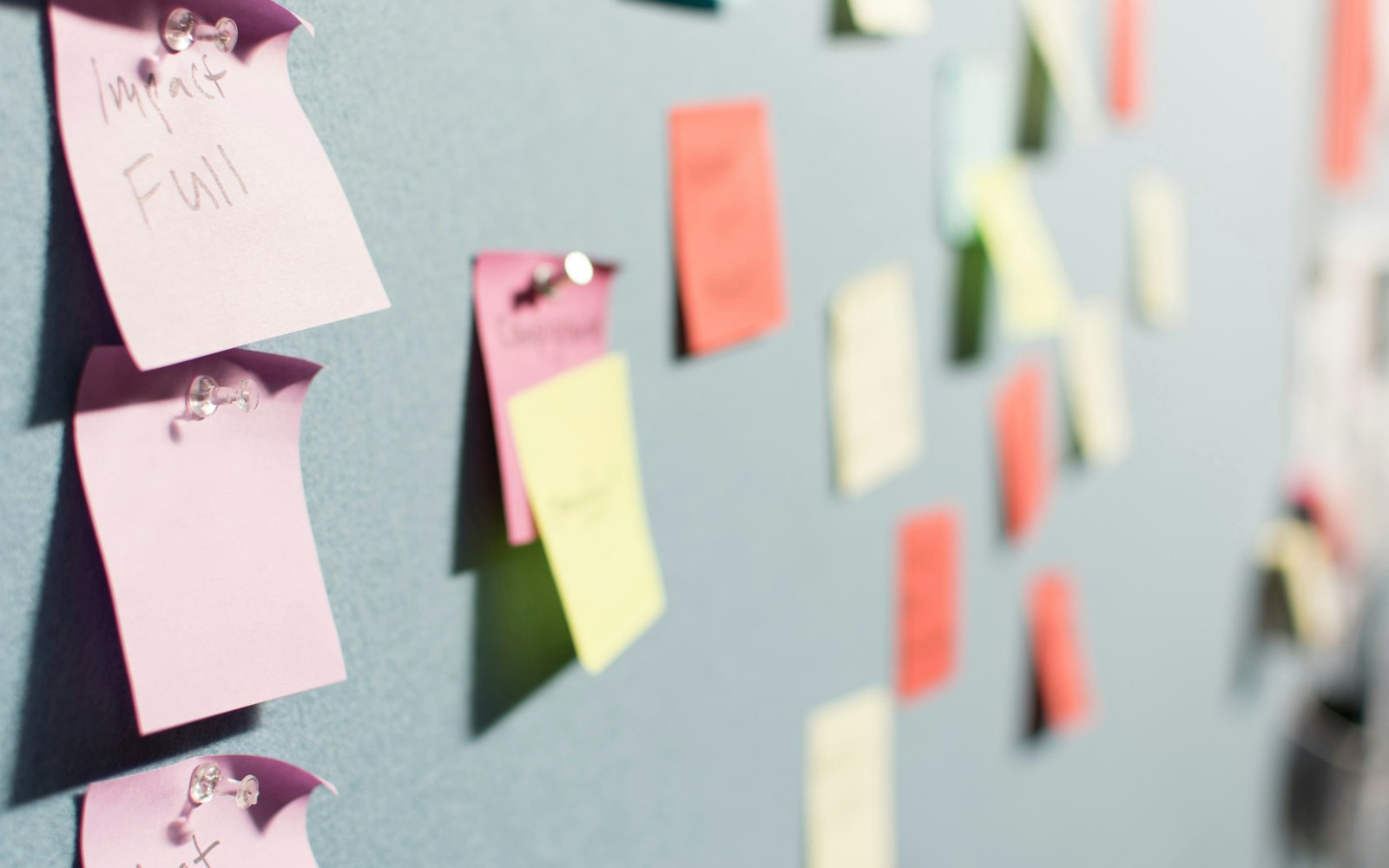 Wall of sticky notes from a naming brainstorm